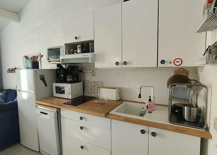 Διαμέρισμα T2 Avec Piscine Et Parking Au Barcares - Fr-1-195-84